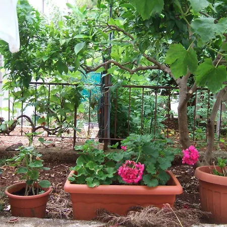 Lenka - Great Location & Free Parking Apartmán Supetar