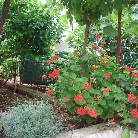 Lenka - Great Location & Free Parking Supetar